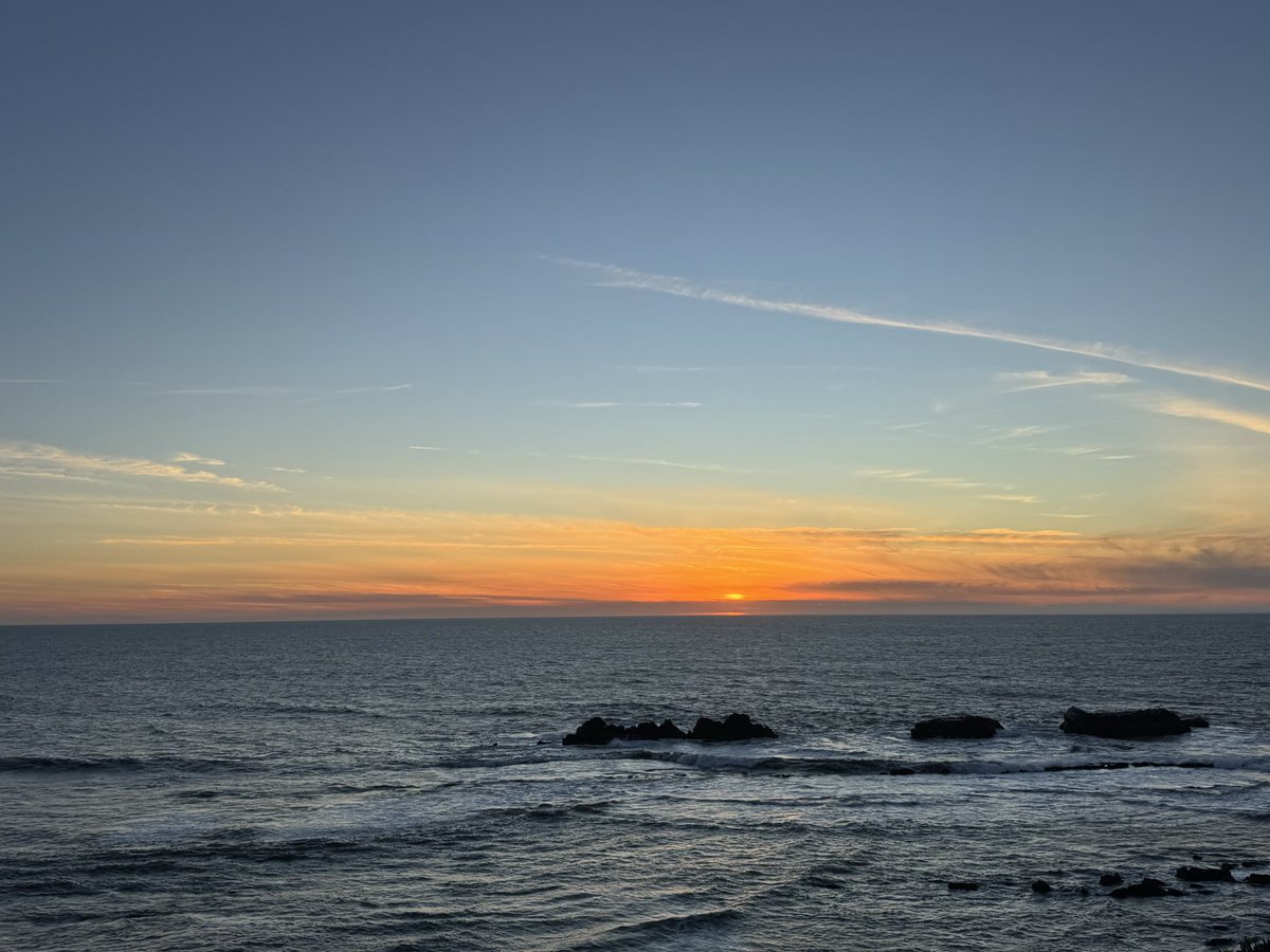 春天来了，连树干都是绿色的