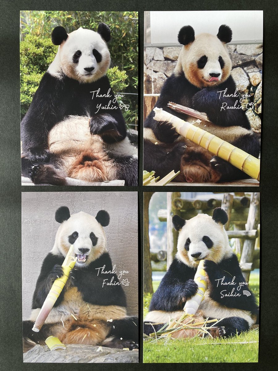 pandarano85's tweet photo. 開催3回目にして、初めて参加できたパンダdeナイトⅢ🐼
素敵な缶バッジとポストカードをいただきました。
#アドベンチャーワールド
#パンダdeナイト https://t.co/qJo82limh8