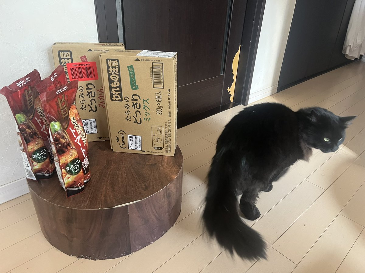 𓃠猫၈集会場𓃠 TLに猫画像ゆるり流れる𝕏コミュニティより 今日の