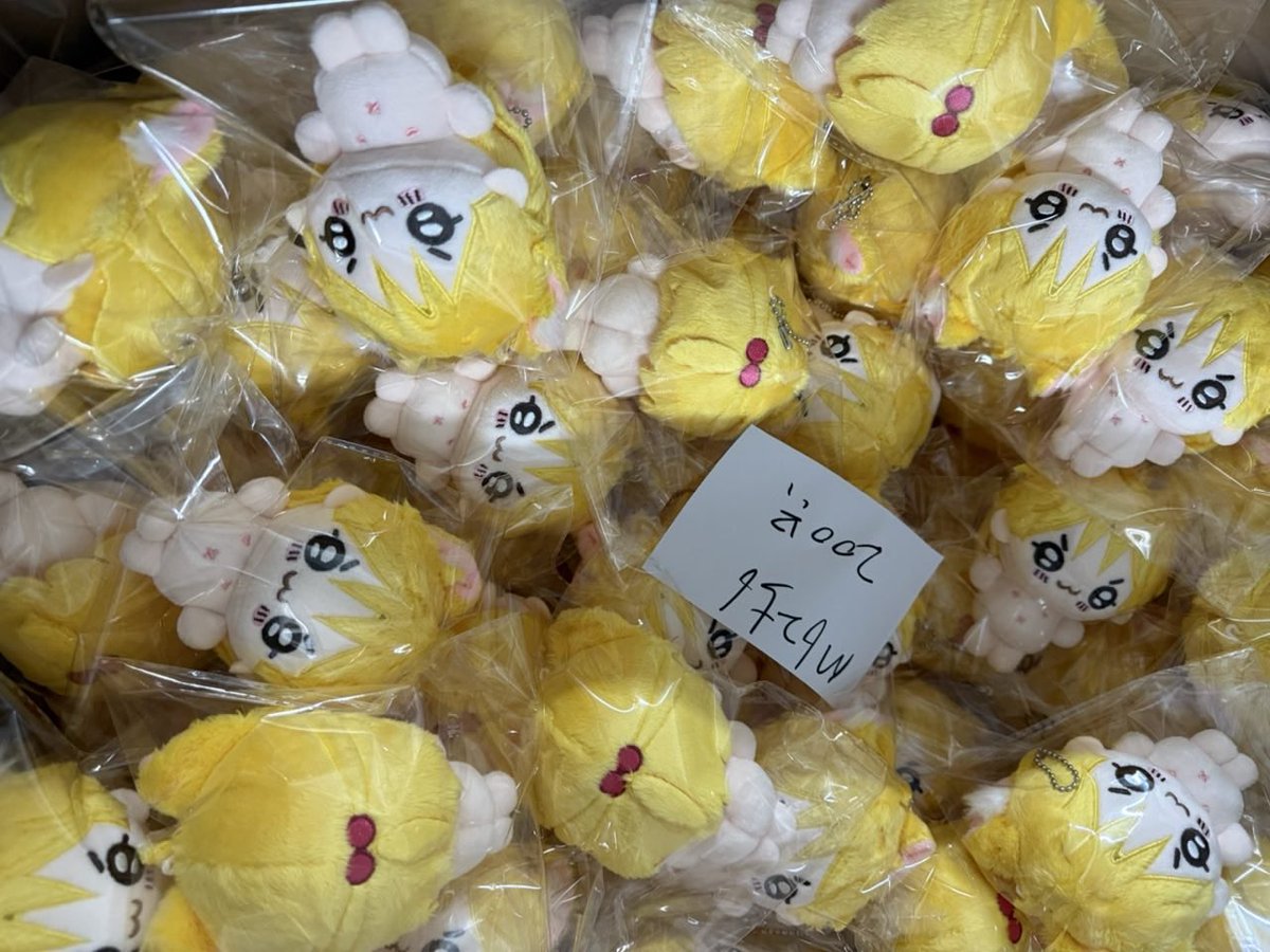 🚫🏠10cm No Home Plushies tweet media