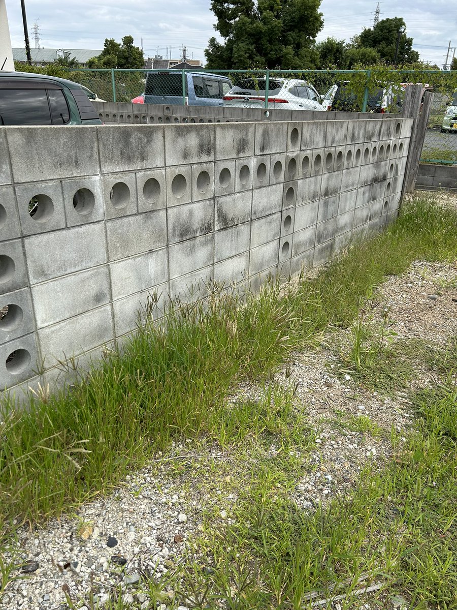 透かしブロック
まあるいのは珍しいねぇ〜〇〇〇