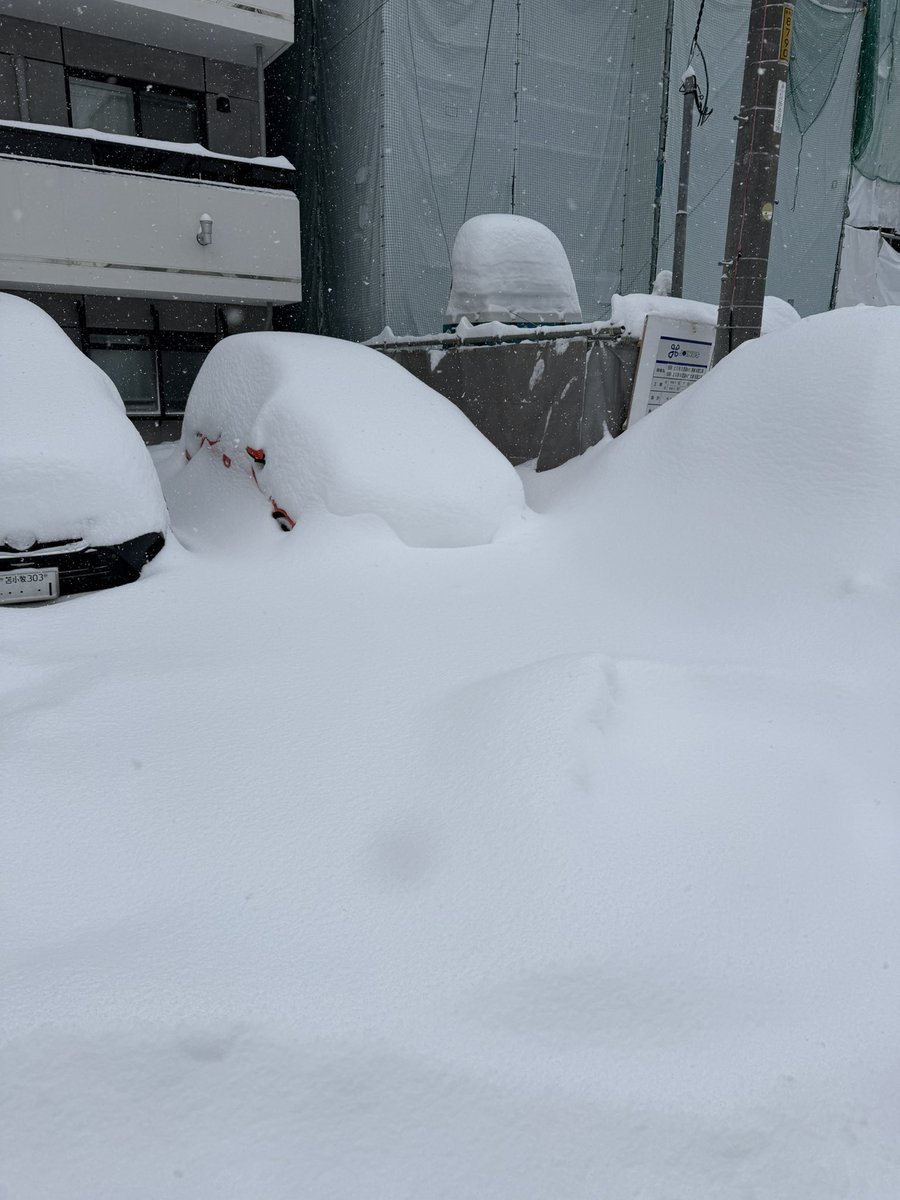 FuEi04's tweet photo. 雪凄すぎて外出れない⛄️
大人しくアリーナしてろってことなのかな_(:3 」∠)_ https://t.co/W9M37xKNY1