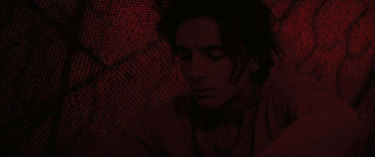 nathanrobii's tweet photo. the colors of dune https://t.co/YafBJ1gZKi