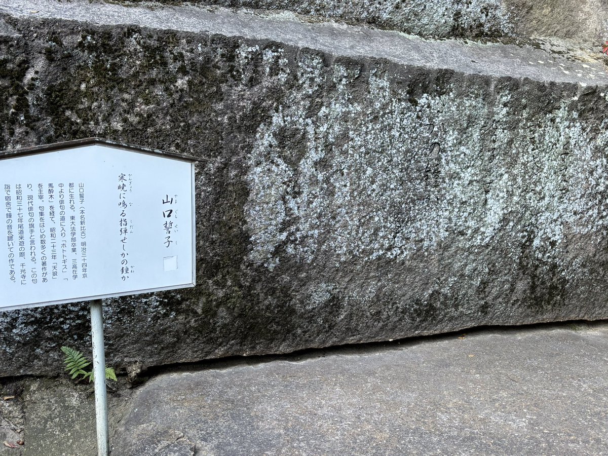 salt_t's tweet photo. 昼活
朝は寒波に負けました。太陽のありがたさを感じます。写真の句碑は山口誓子先生のものです。
#尾道　#尾道水道　#千光寺　#千光寺公園
#千光寺頂上展望台PEAK  #イマソラ
#尾道大橋　#新尾道大橋　#朝活　 #朝日
#ウォーキング　#walkingl  #天寧寺 https://t.co/Y1Yxoupl7w