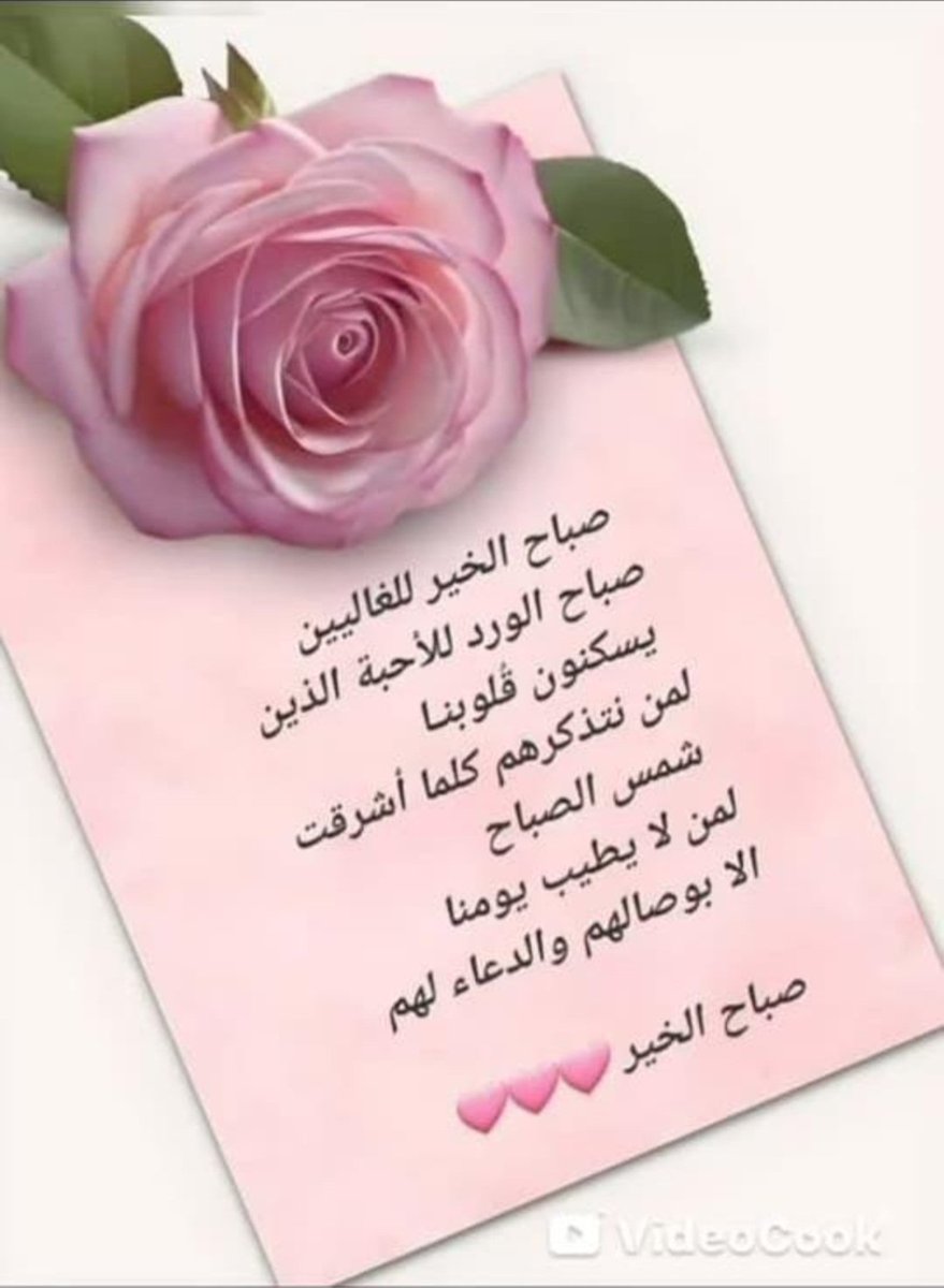 NB16J's tweet photo. يوم جديد وجميل جدا ان شاءالله اسعد ال��ه صباحكم  واقتكيم وجعل الجنة مثوانا ومثواكم يارب 

#صباح_ال��ير_والسعاده_للجميع https://t.co/HvxWo5ncpQ