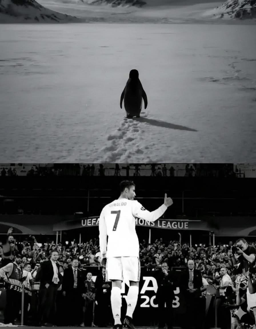 Arap (Seismic Arc) tweet media