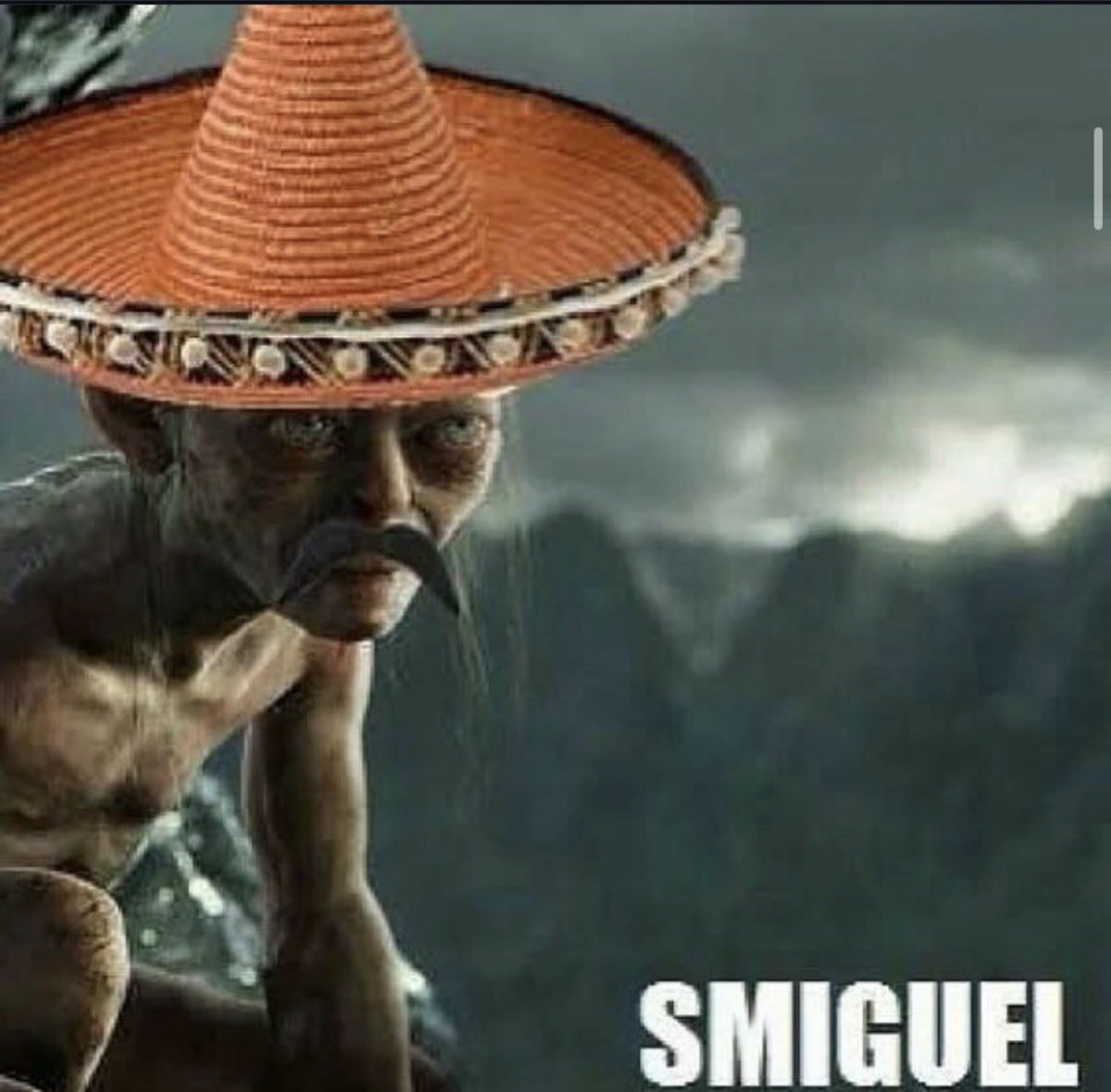 LOTRWorldwide's tweet image. Mi precioso!