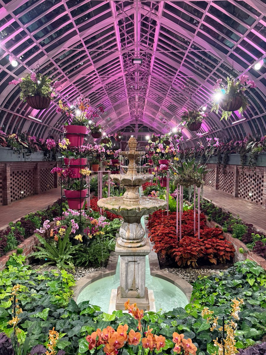 RiyueSunnyBao's tweet photo. We got to visit #Phipps orchid/tropical show w dazzling nights - A quiet evening surrounded by beautiful nature @PhippsNews. And, we made Japanese #curry #udon 🥰 our winter fav #homecooking. Finally, we stocked up buns #PinkBox.
Now, ready for winter storm #PGH! 💪 https://t.co/Qk7YOS5FQ1