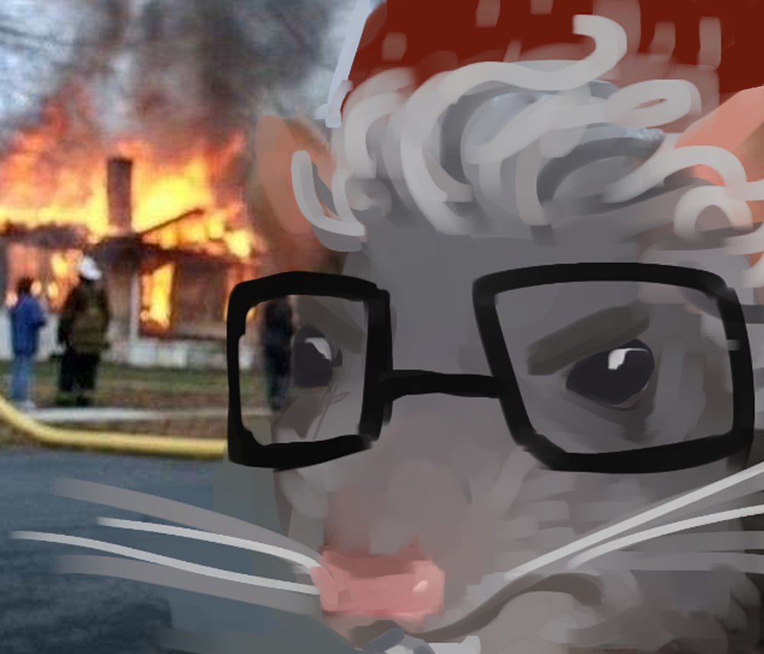Matty_mouse16's tweet photo. #conclave2024 gofredo tedesco rata? en el perfil de la rata??? https://t.co/sGdl4Vm5S6