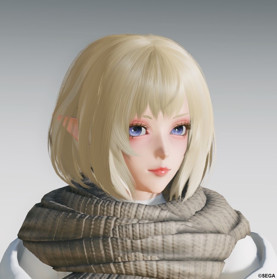 シルフィーの顔アクセやメイクなどいろいろお試し中
#PSO2NGS_SS
#メンテの日じゃないけどssを貼る