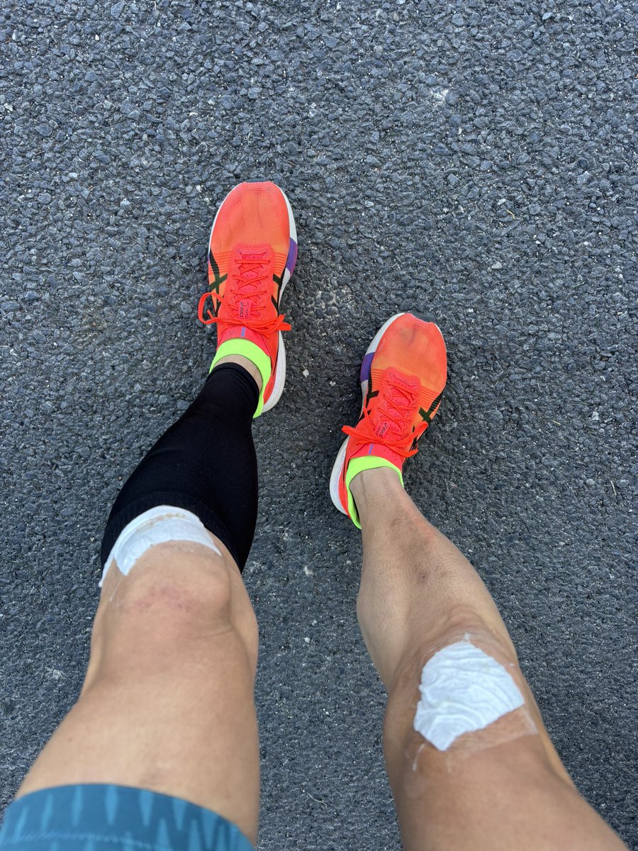 キク (@tsuba0907) / Posts and Replies / X