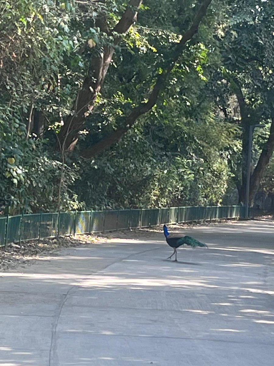 RRRameshRRR's tweet image. #CaptionThis