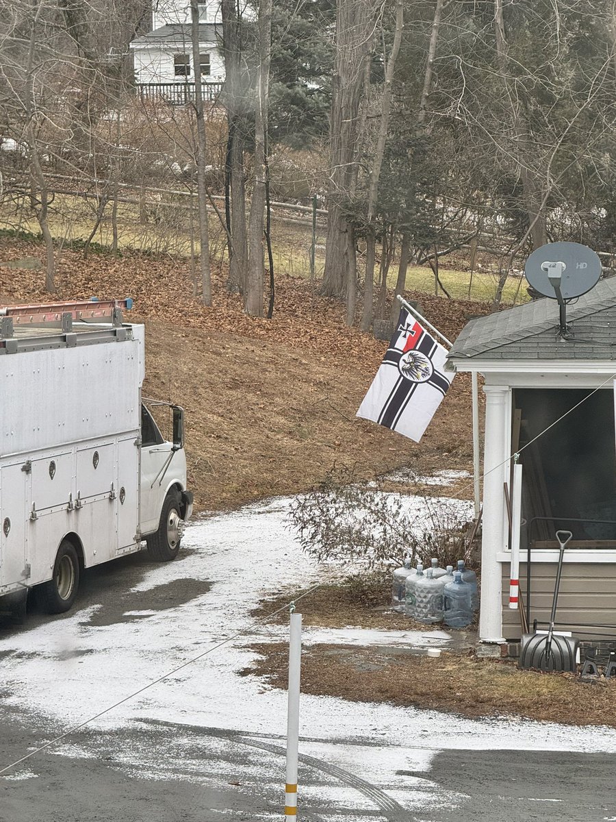 Safari Andrew tweet media