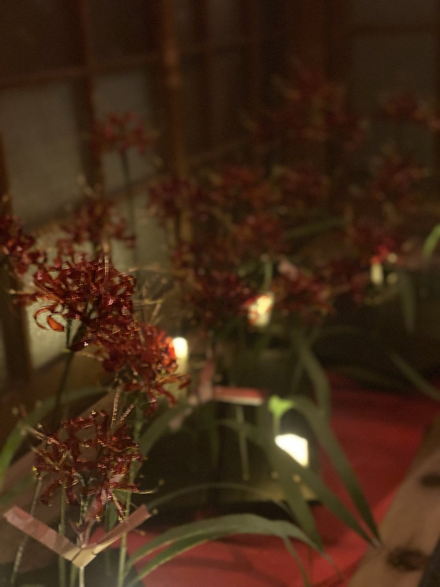 9696hatter's tweet photo. 本日は『黄泉の花嫁は涙を忘れる』でした😭
美しい黄泉の世界に引き込まれてしまいました…
#黄泉の花嫁 https://t.co/rIjCKFQxfB