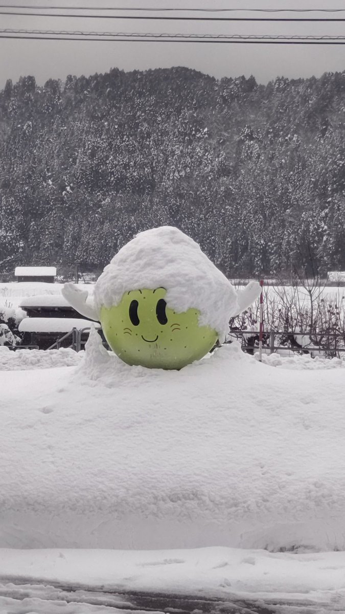雪団子 八頭町の大雪警報は解除されましたが…結構積もりました☃️ 除雪の雪を