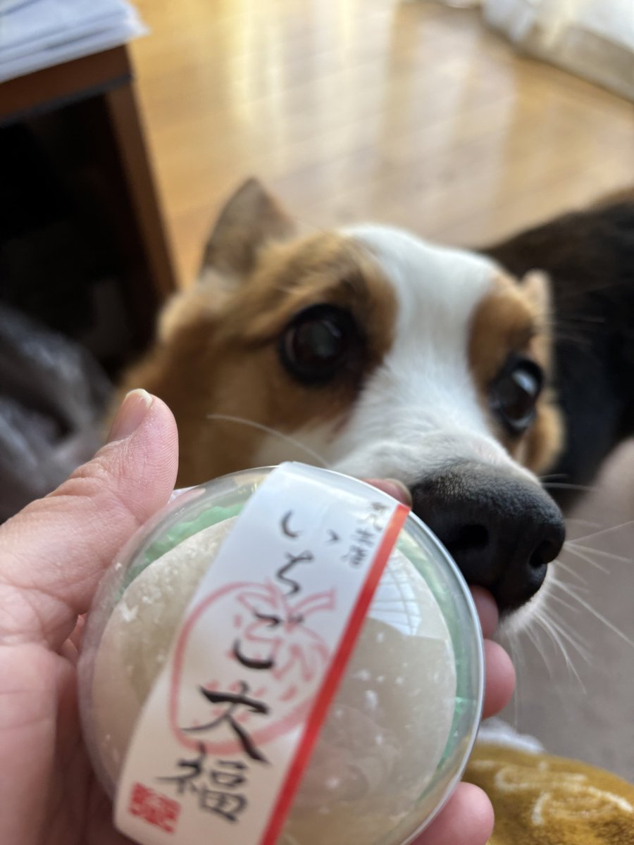 角八の大福美味しい！