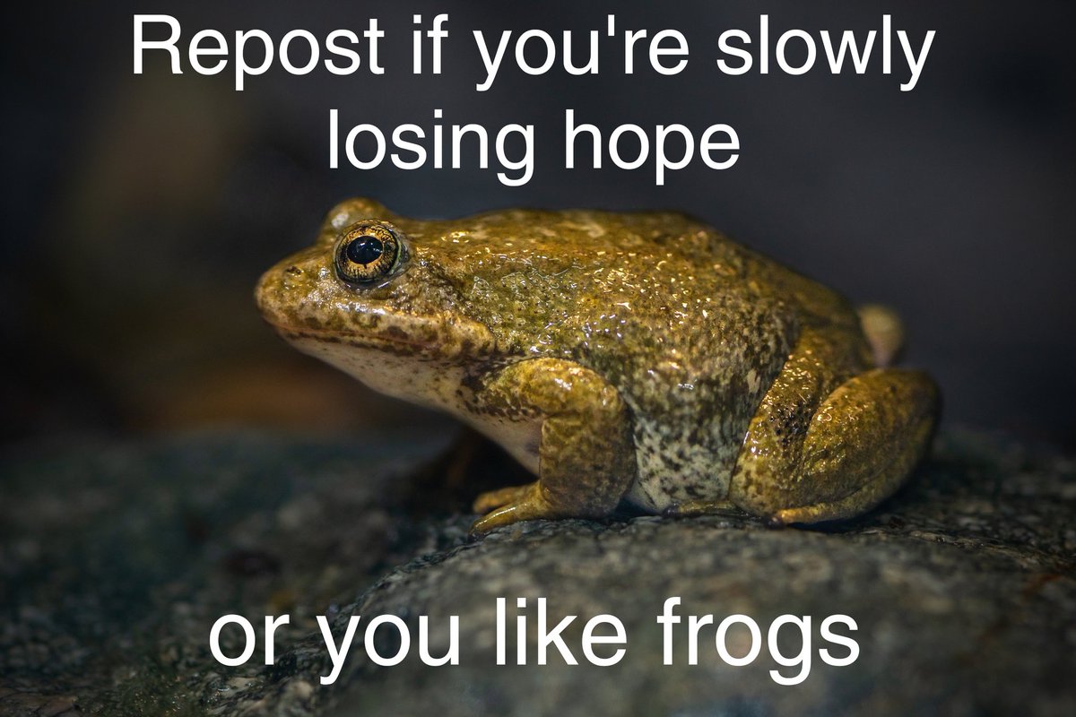 JebusKrust's tweet image. 