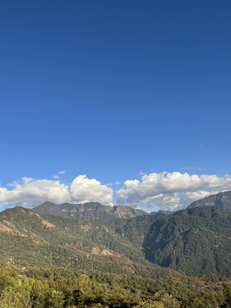 Between the mountain’s silence and the wood’s soft breath,

I learned how stillness can hold a beating heart.