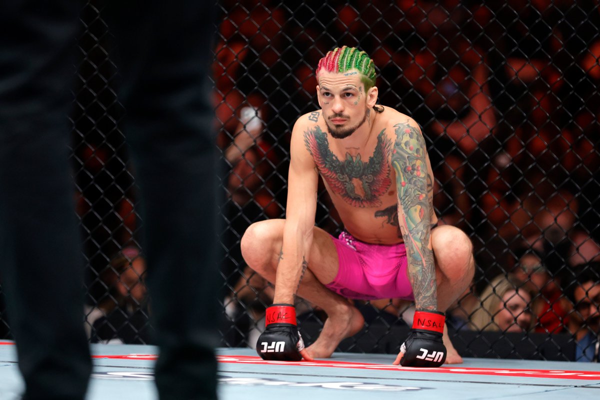 Kyle Hansen tweet media