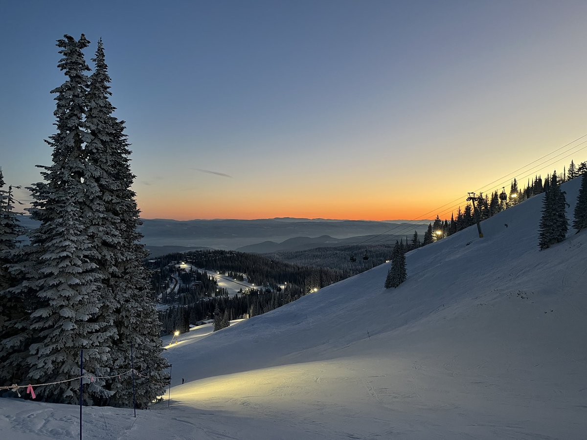 Don Pawluk tweet media