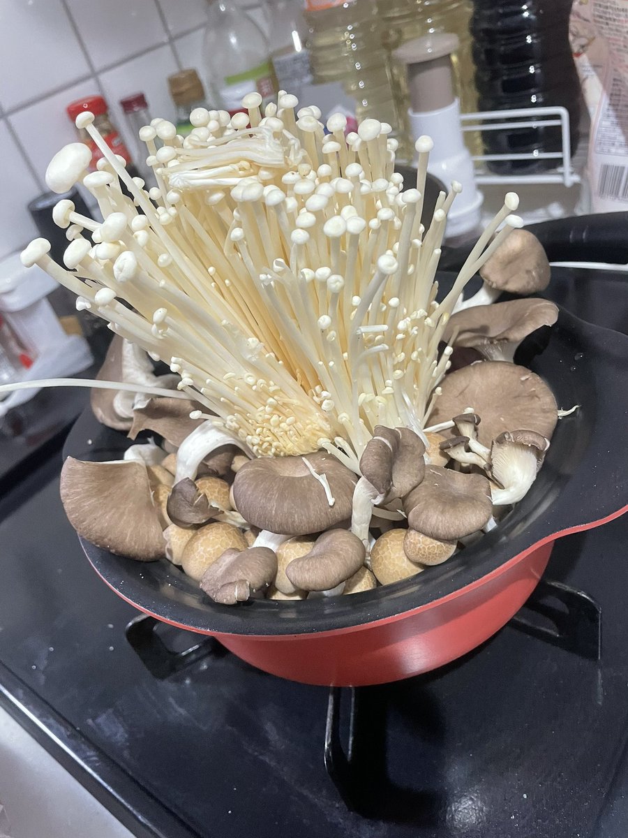 リュウジ、信じてるからな🍄