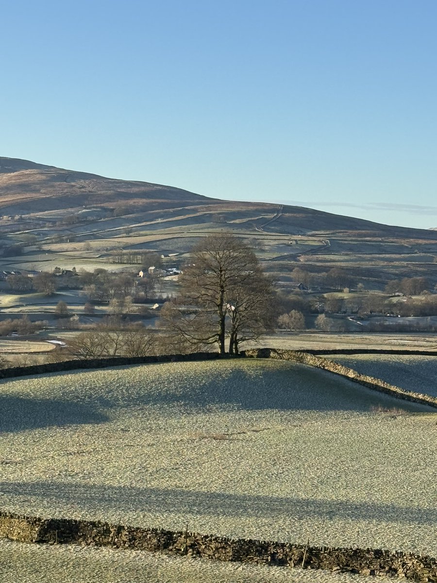 Yorkshire Dales National Park tweet media