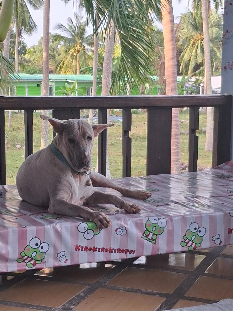 Rebecca รีเบคก้า tweet media