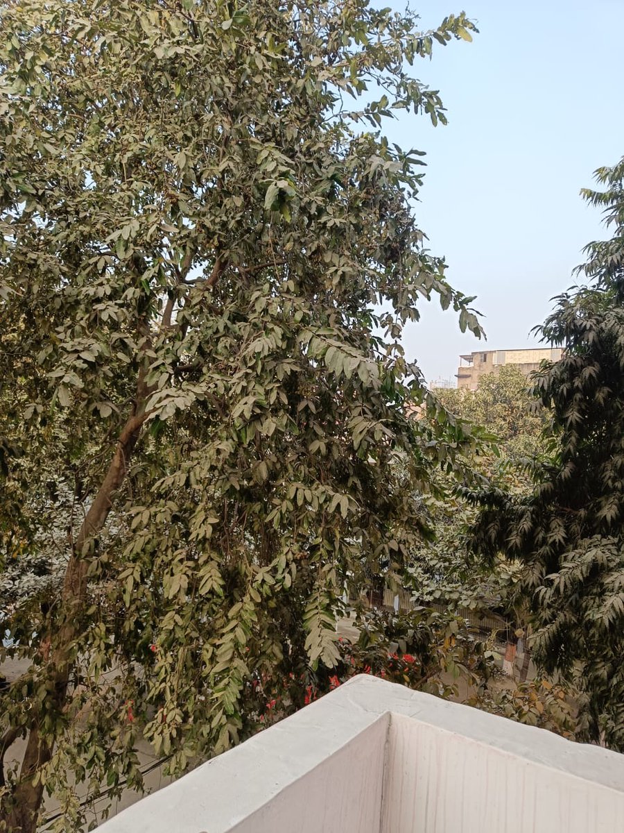 #GoodMorningEveryone