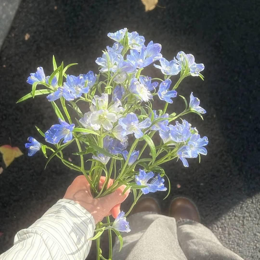 1leio's tweet image. 