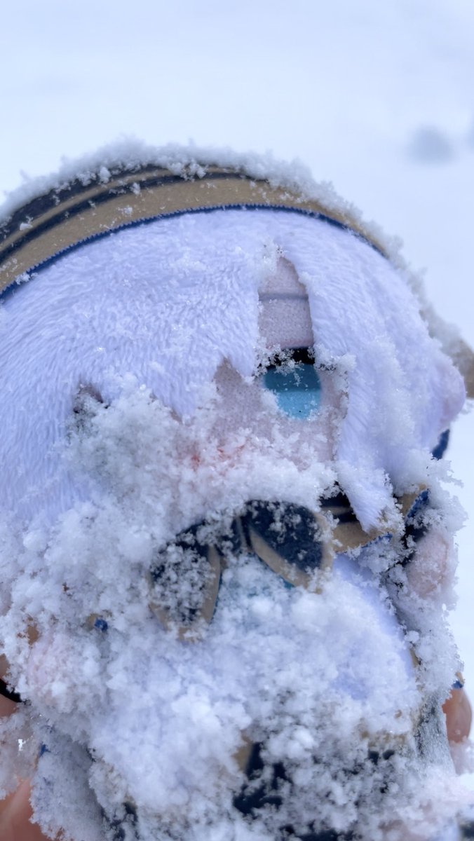 r_m_1415's tweet photo. アルス「雪だぁー！！！！」

 #アルスこれみて https://t.co/OV5bY1VGWZ