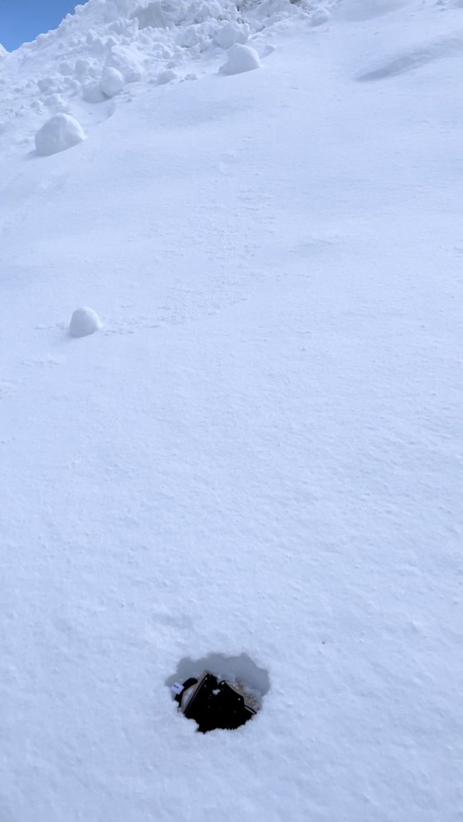 r_m_1415's tweet photo. アルス「雪だぁー！！！！」

 #アルスこれみて https://t.co/OV5bY1VGWZ