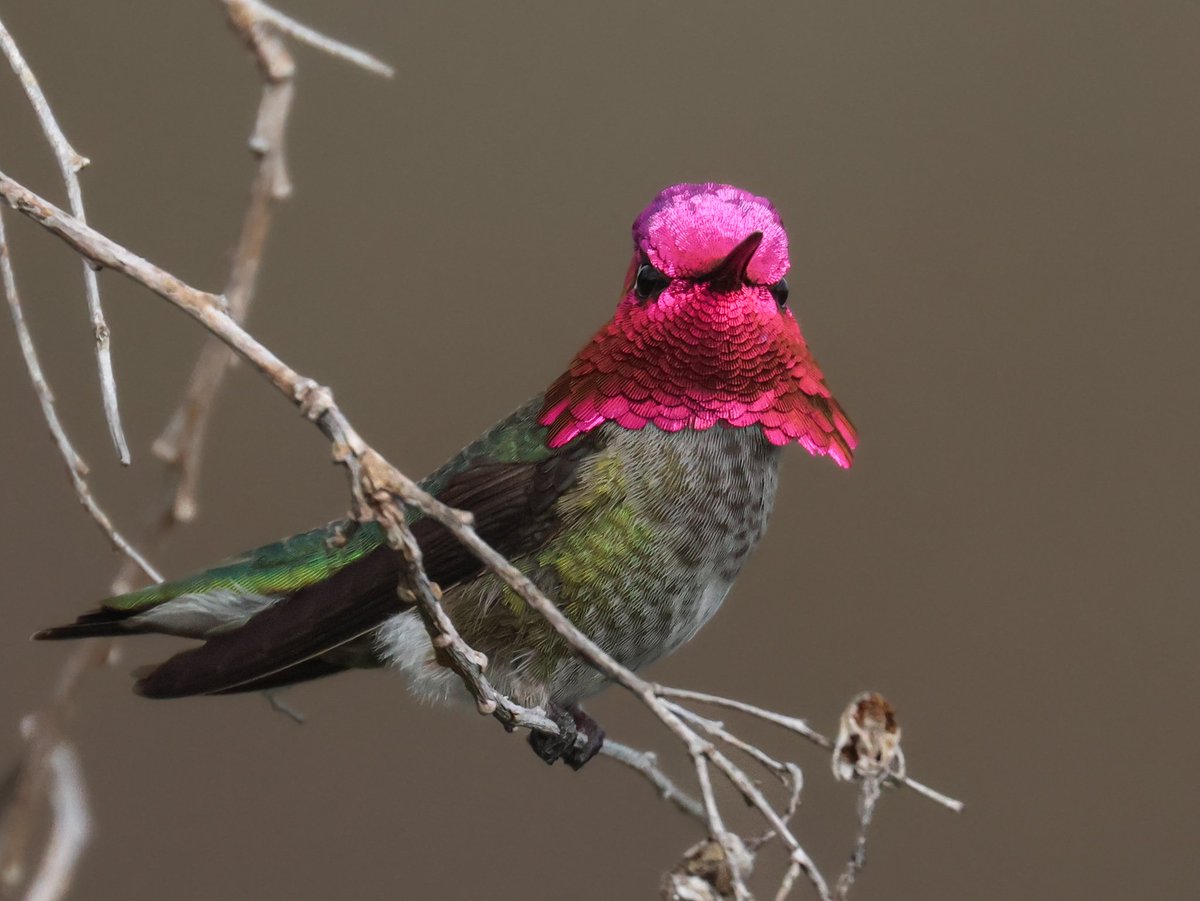 Mark Robertson tweet media