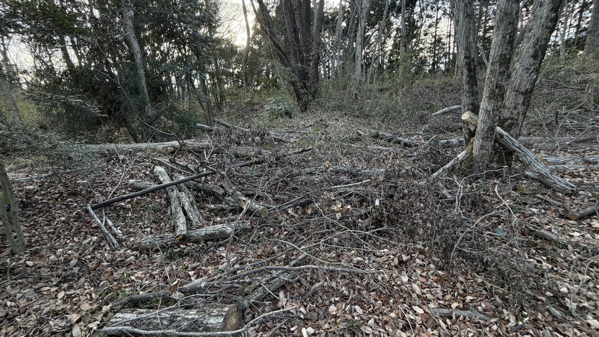 2時間探して結局DNF😔
難しい💦

ヒントの足元気をつけてって、全部大変なんやけど😆

さっ、家までが遠いので帰ります。
ありがとうございました♪
八王子まで来て3foundのみ。やってしまったわ😆

coord.info/GCB4448
#geocaching #ジオ活 #DNF