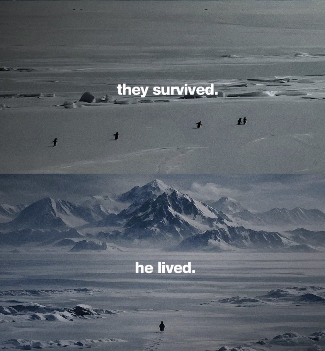 miniarchillect's tweet image. 