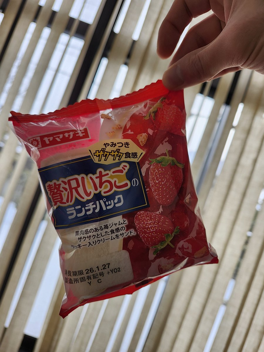 電脳妖精☆ミント (@MINT9821) / Posts / X