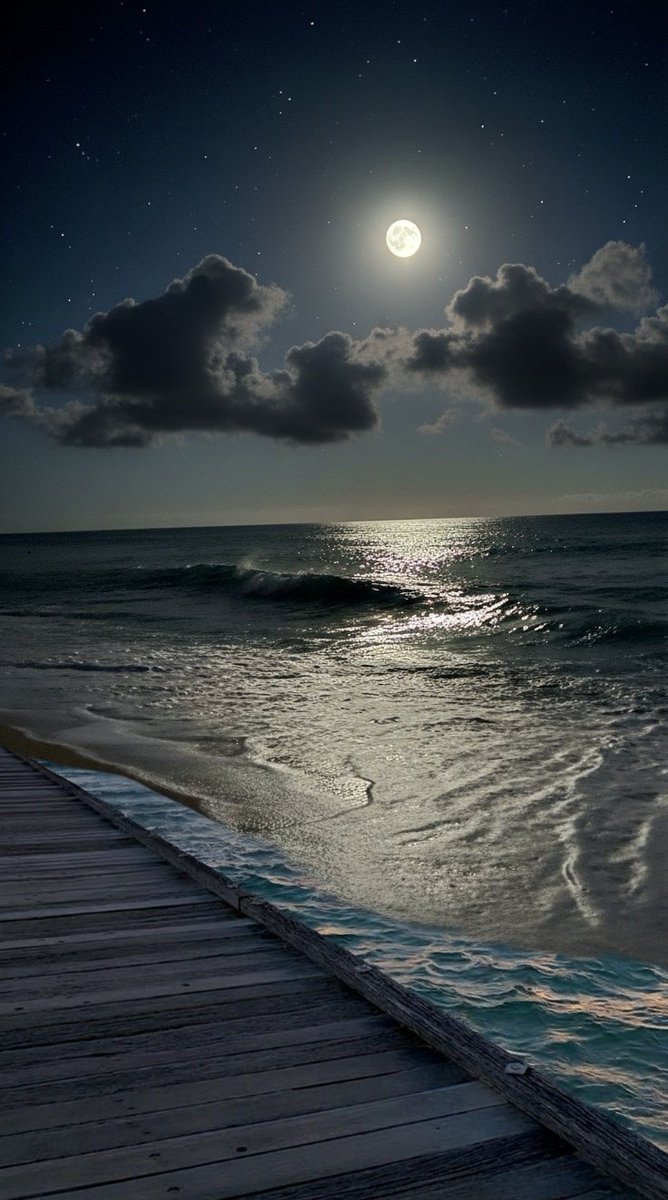 Moon4pics's tweet image. 