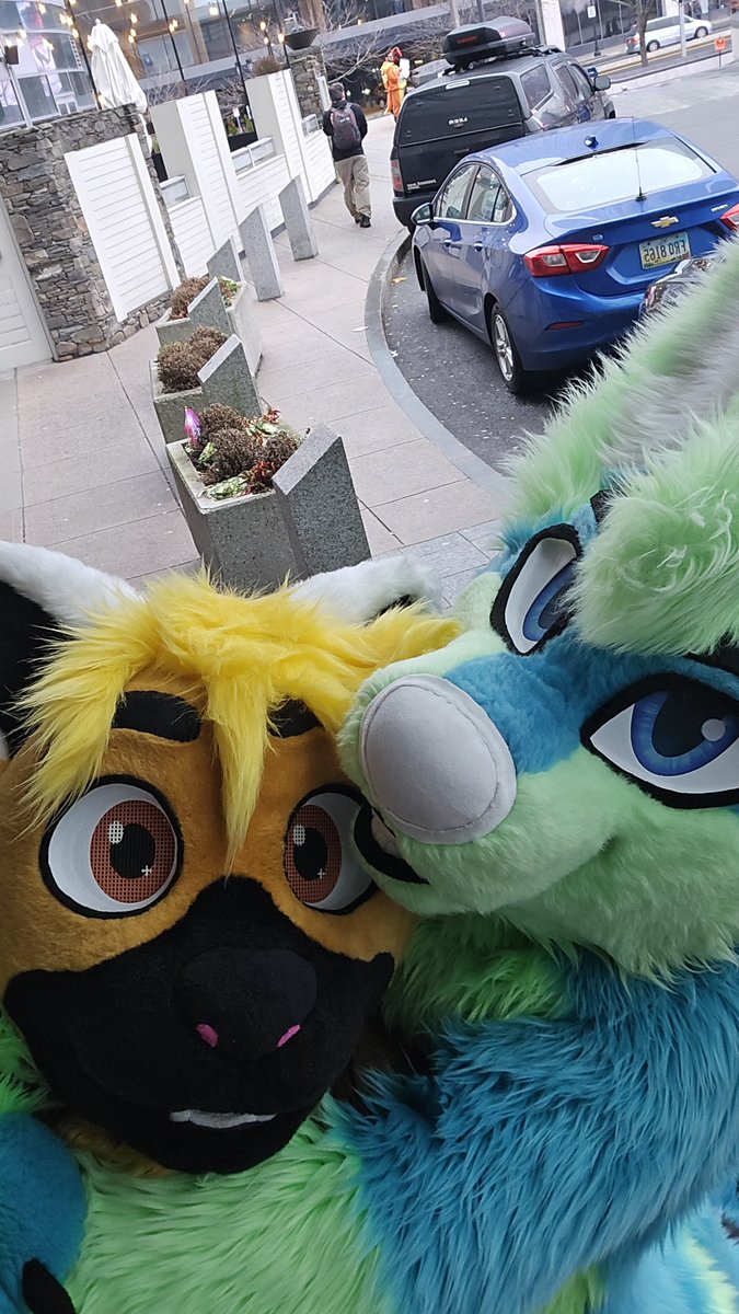 Total Trash Mammal tweet media