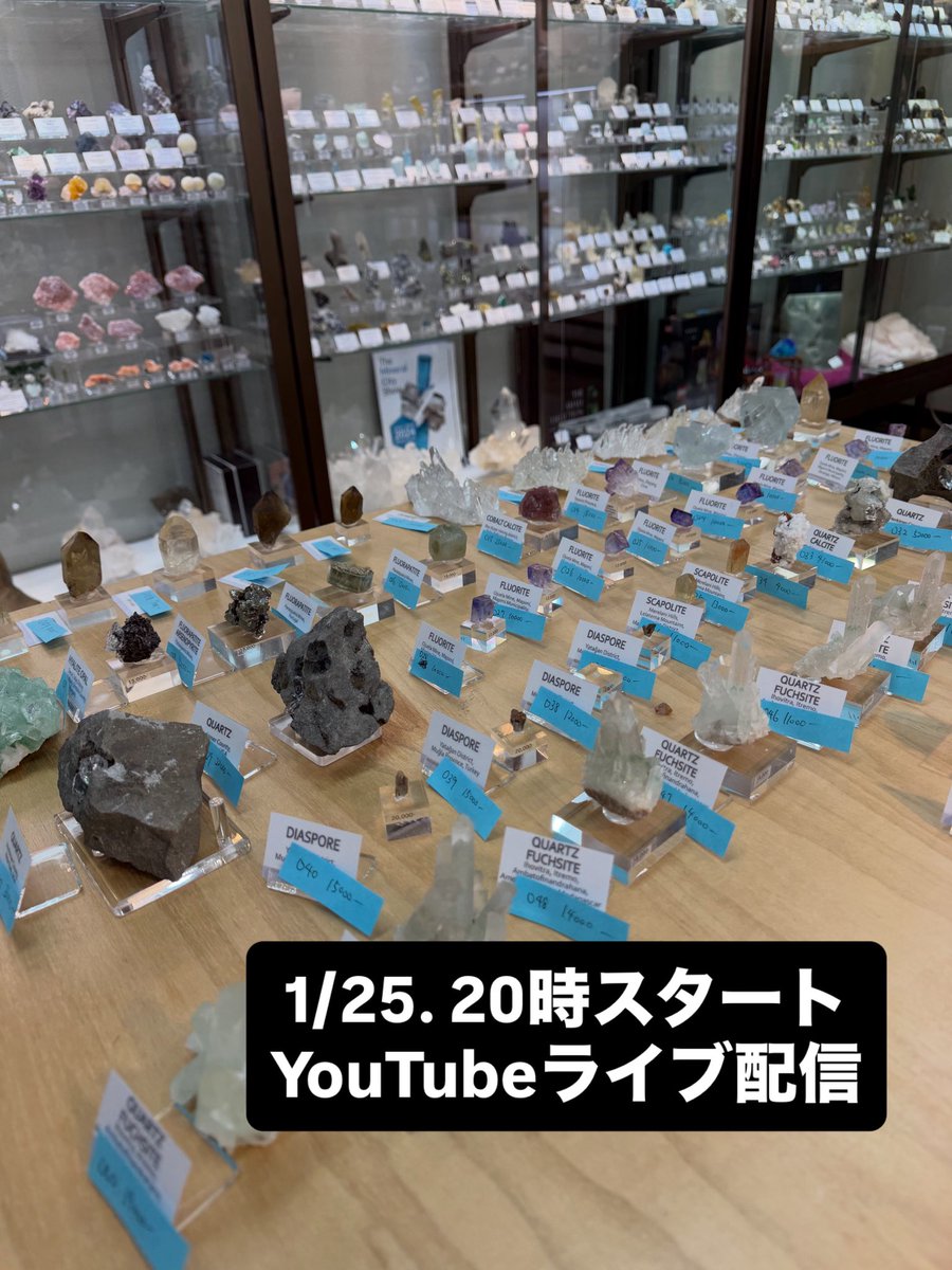 ameri_shimizu's tweet image. 本日 1/25.  20:00〜 YouTubeライブ配信📣

Welikestones YouTubeにて
新着鉱物70点以上ご紹介＆販売します！

フローライト／アダマイト／トルマリン／クォーツ系など
一点物中心に、面白い石そろってます✨

気になる石はコメントで質問OK👌
写真では分からない結晶感、ぜひライブで！

▶️ 本日…