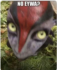 RASHIN 🦷 Comms open tweet media