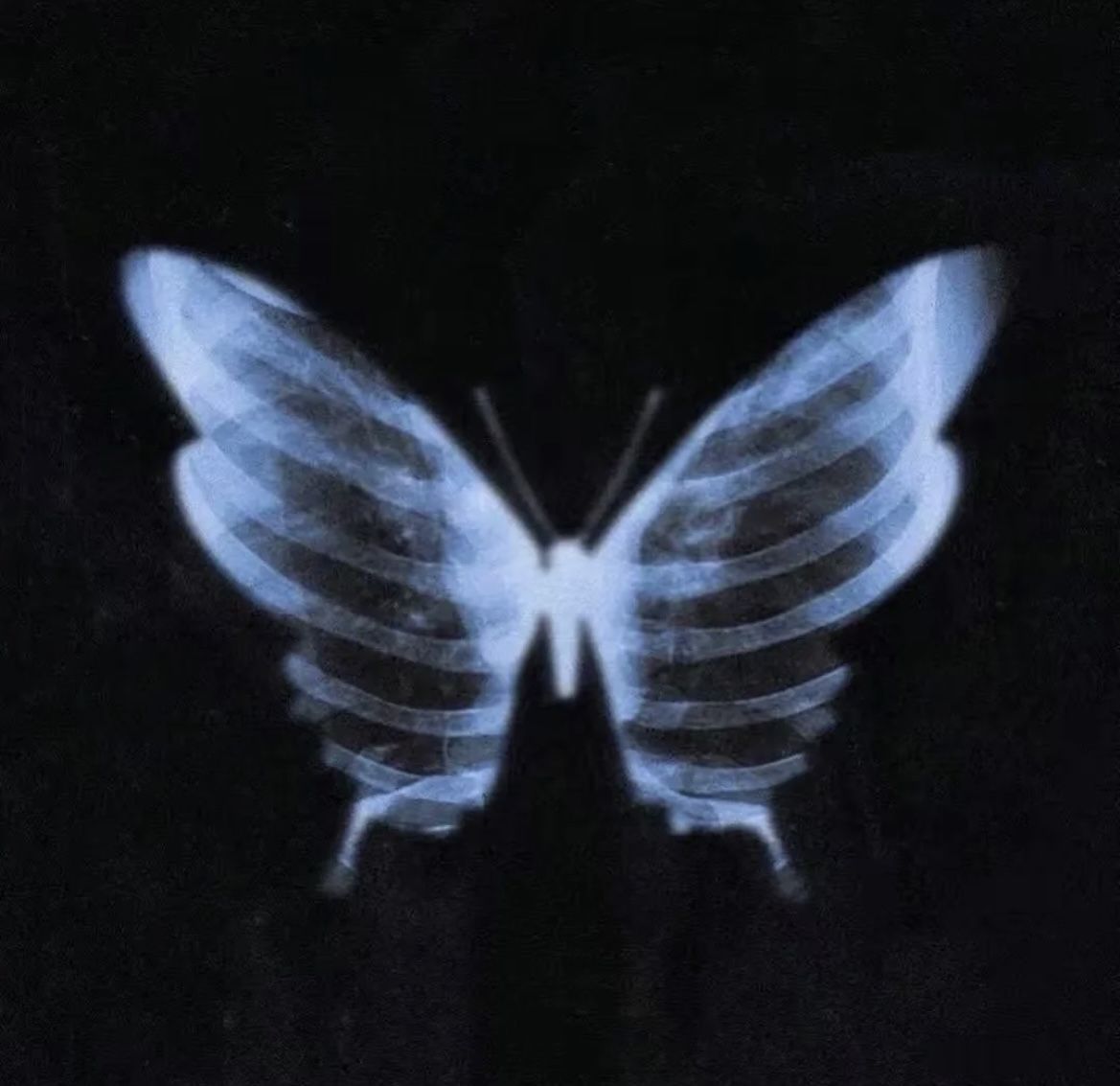 𝖆𝖗𝖙𝖟~𝖓𝖔𝖜 (@artznow_) on Twitter photo 