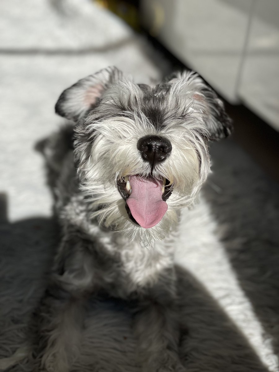 生まれて来てくれて
俺と出会ってくれて
ありがとう 