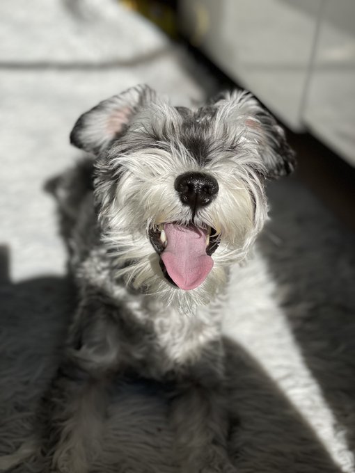 生まれて来てくれて
俺と出会ってくれて
ありがとう 