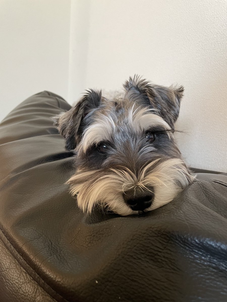 生まれて来てくれて
俺と出会ってくれて
ありがとう 