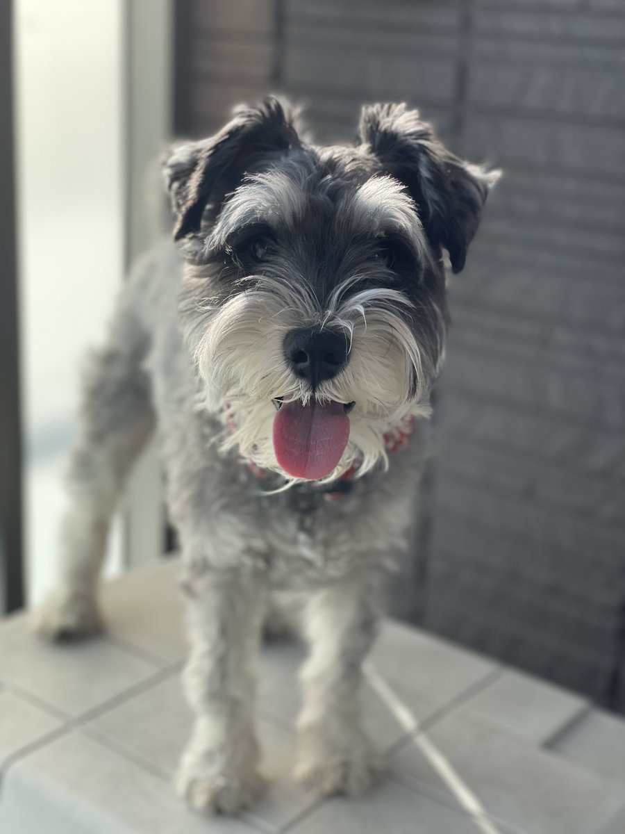 生まれて来てくれて
俺と出会ってくれて
ありがとう 