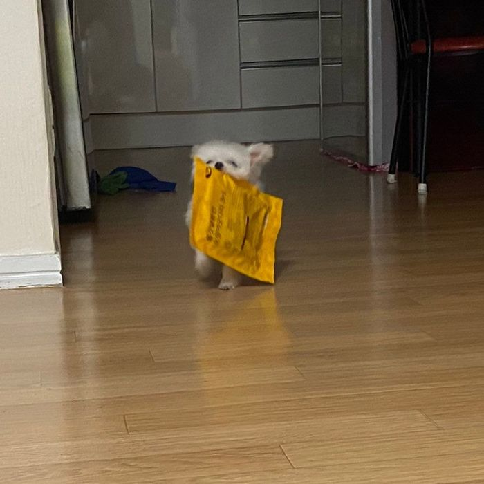 힐링짤모으는곳 tweet media