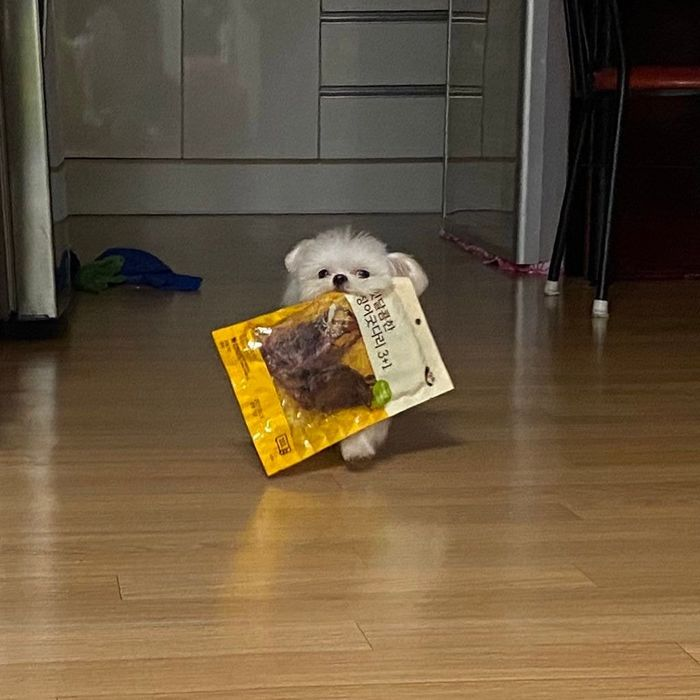 힐링짤모으는곳 tweet media