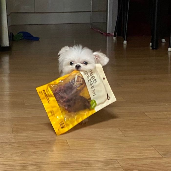 힐링짤모으는곳 tweet media