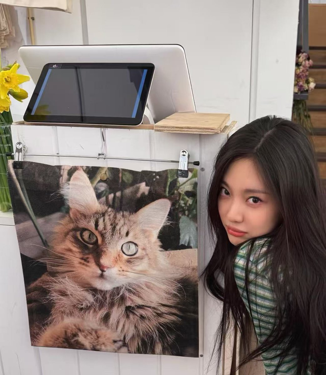 XIFAN🐬TermMax tweet media