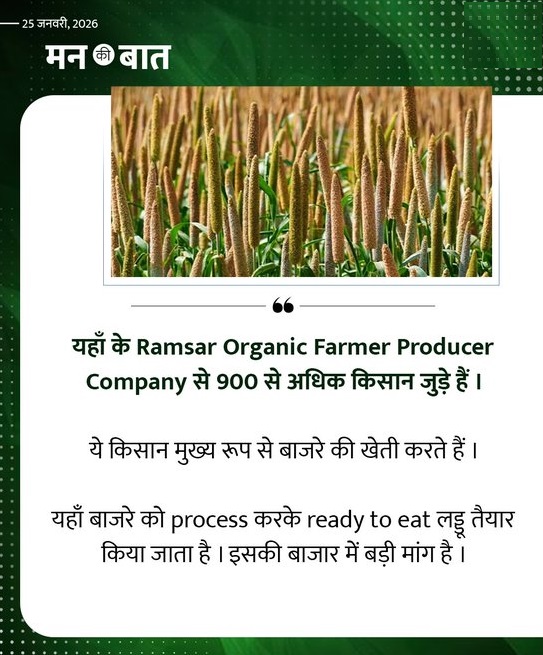 DDNewsRajasthan's tweet image. राजस्थान के रामसर में भी किसान श्रीअन्न (Millets) को लेकर innovation कर रहे हैं: पीएम @narendramodi  

#MannKiBaat #Millets