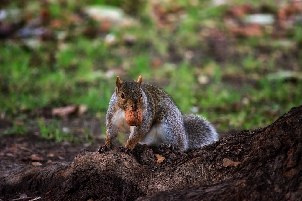 Photography by David Rayside 🇦🇺 tweet media